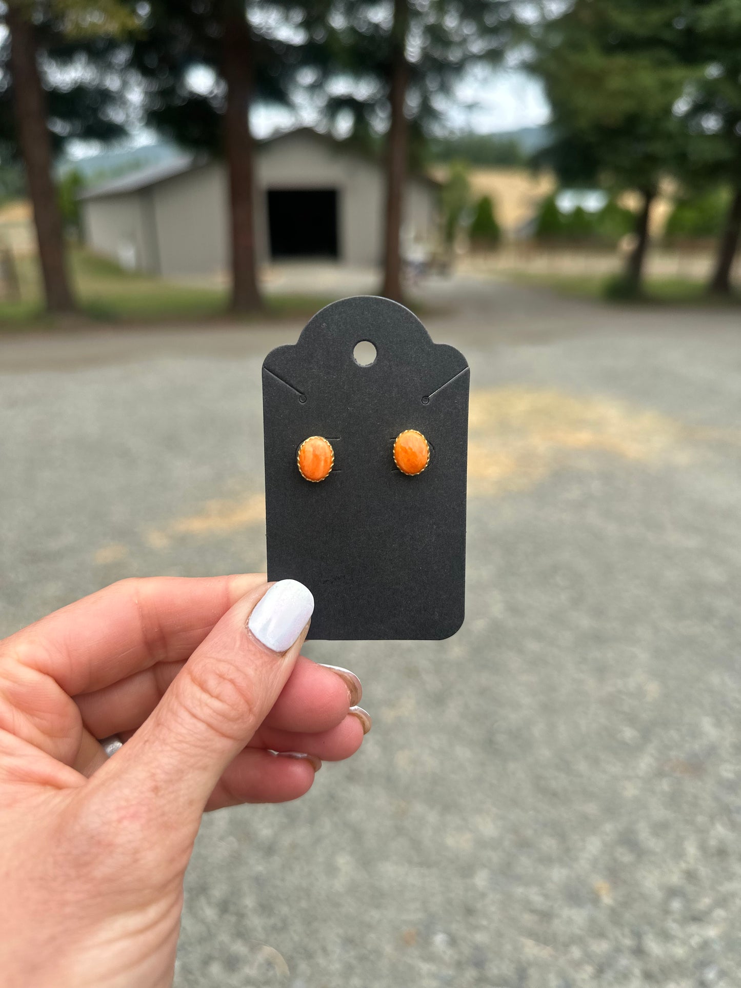 Spiny Oyster Gold Stud Earrings