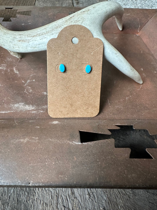 Dainty Turquoise Studs